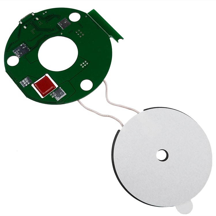 25W Single Coil Module for Smart Home